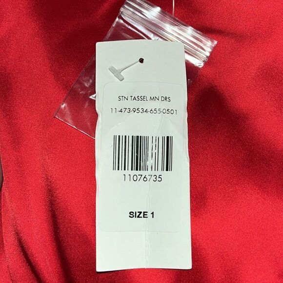 FTF Belted Satin Mini Dress With Tassels - Picture 14 of 14